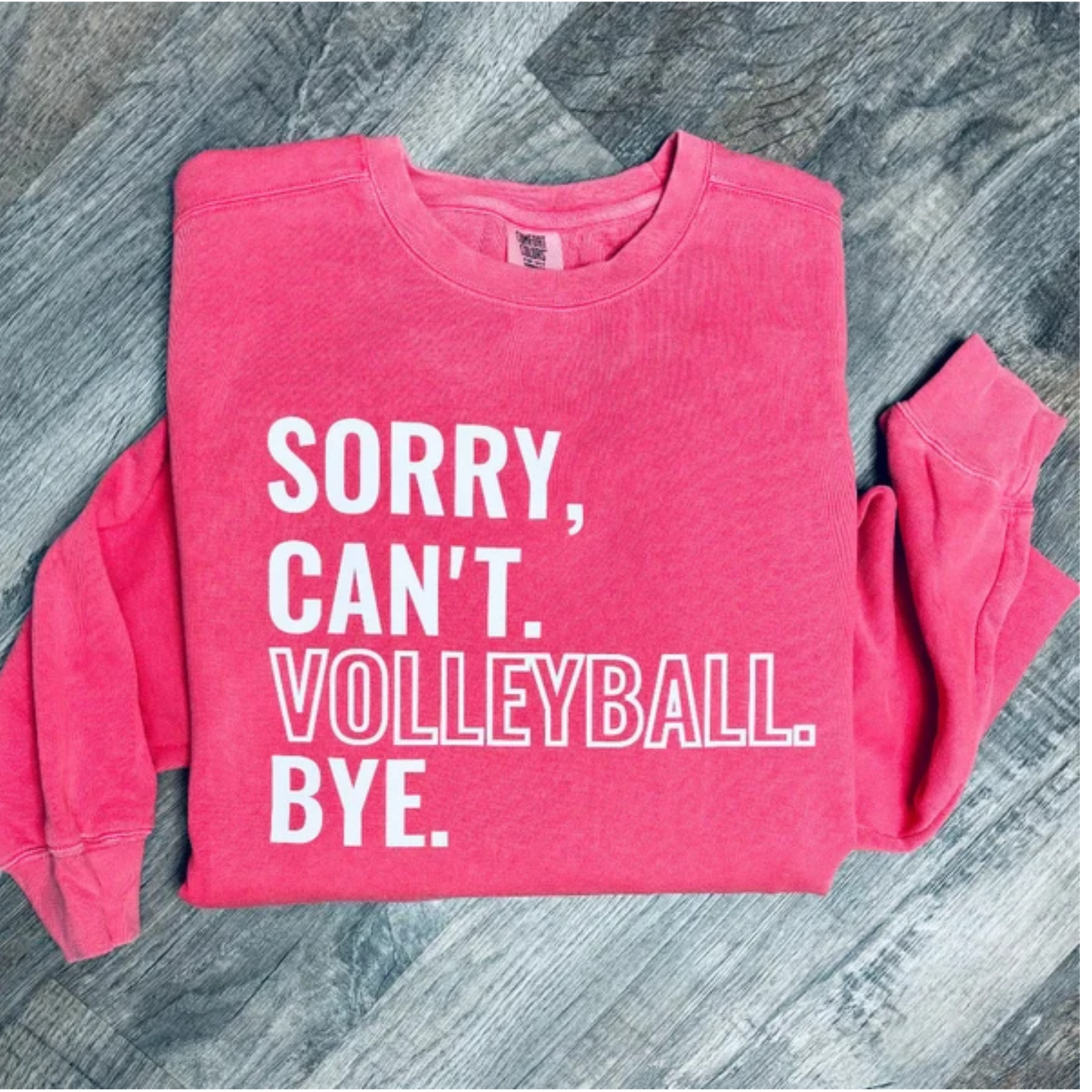 Sory Can't Volleyball Bye