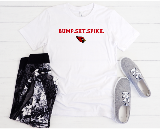 Mascot Bump.Set.Spike