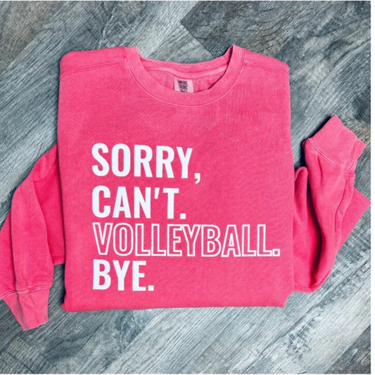 Sory Can't Volleyball Bye
